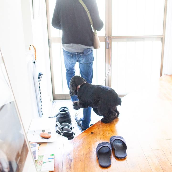 C647338b e22f 4dfd 994b 26343068d789 1574132240605