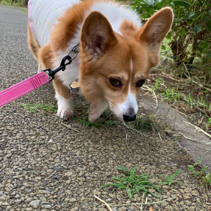 C647339e c2e9 4e75 bd77 5954d435d273 1591306386836