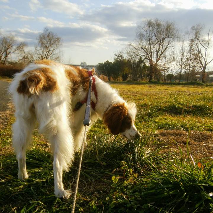 C6475be5 5da7 4f28 921c 902388e7ff33 1548328824720