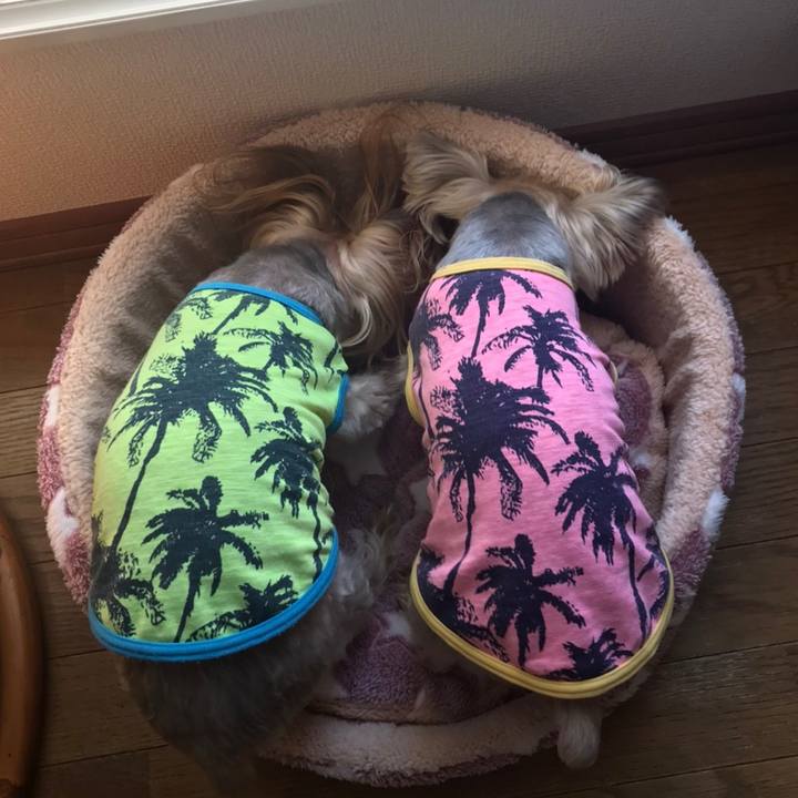 C6475f71 d70f 4196 88f4 ddc5e9cd86e4 1585473358259