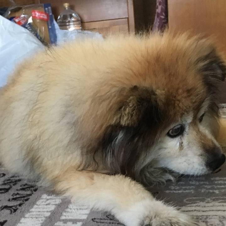 C647a453 d2fe 42b7 82dd 63ae468f2f80 1603176998657