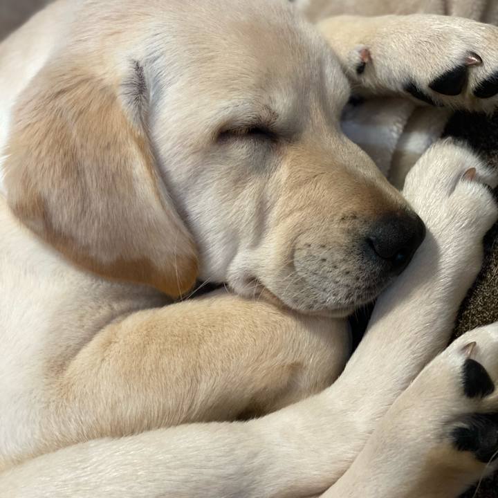 C647ab4b 3c44 44a4 9a67 9cd76ff12159 1613823499458