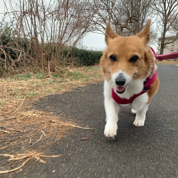 C647d946 19bf 43ab b134 0627790dc3c3 1708306779286