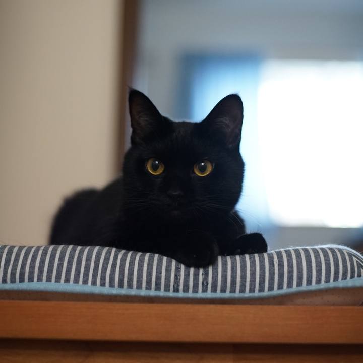 C647e426 d560 43fa 819c 94d00ab127a7 1536372434902