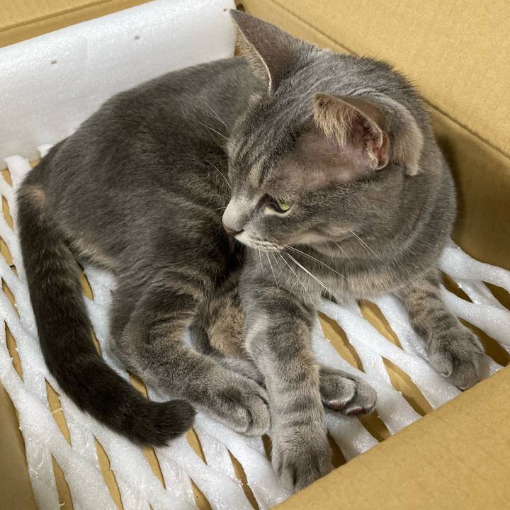 C647fea3 e68e 4d86 911c 76ea68781c53 1629893973850