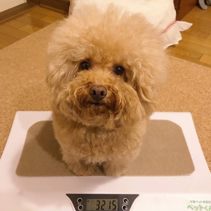 C64819a6 67a9 4c62 b696 2b33c3763a0d 1566206517823