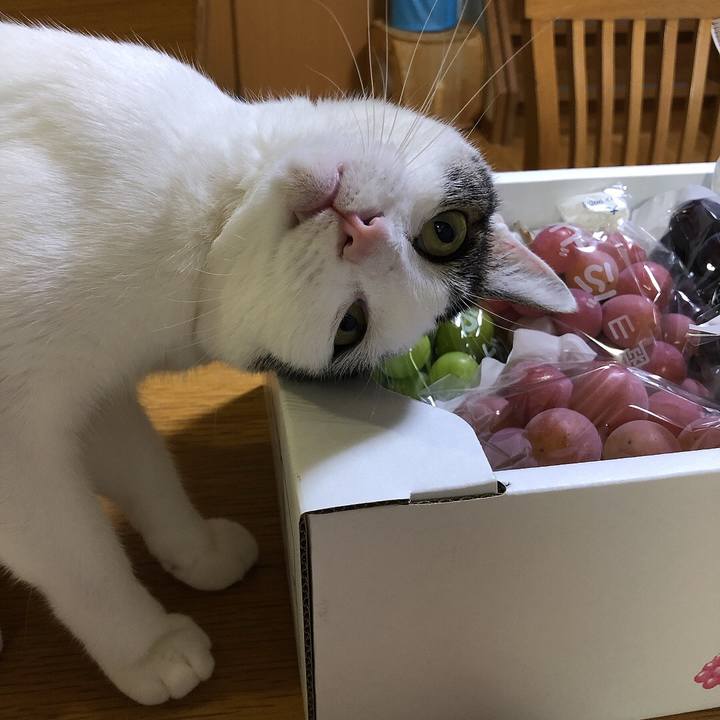 C64824f0 3fe9 462c 902e c4a7a8dc097f 1692621482055