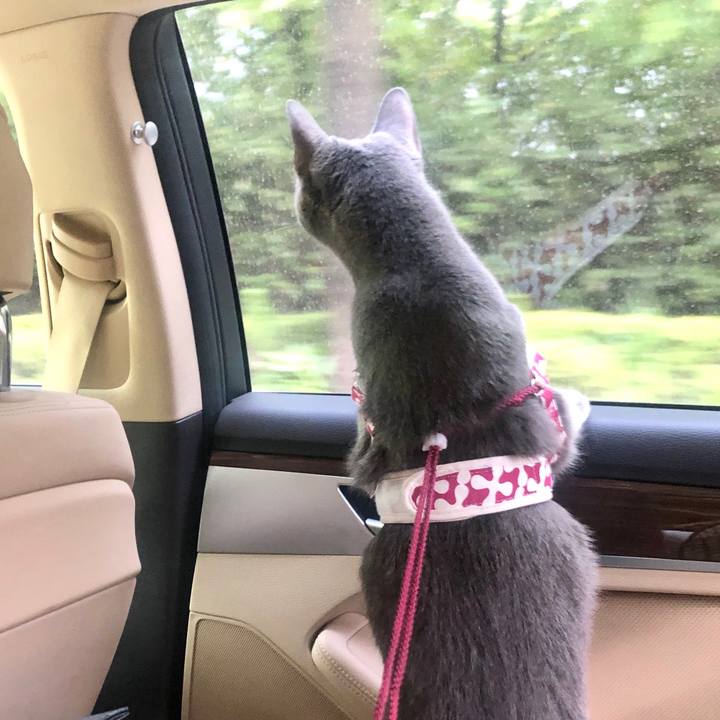 C6485171 3bdb 4e5d bd88 966fb79ac502 1589615032030