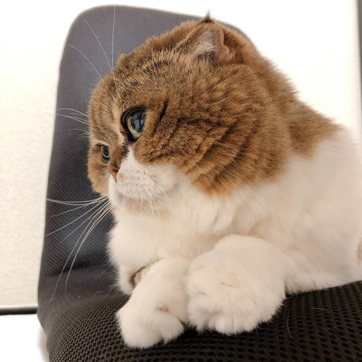 C648ddd2 1897 48c5 8105 111ac60be1d8 1607628883229