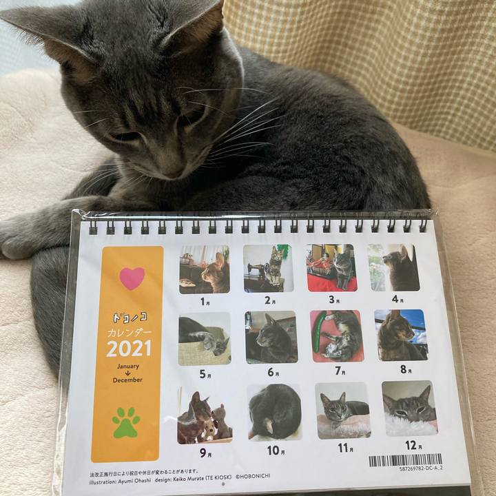 C6491bf4 2671 4dd5 a42f 955f266fc5aa 1607750779124