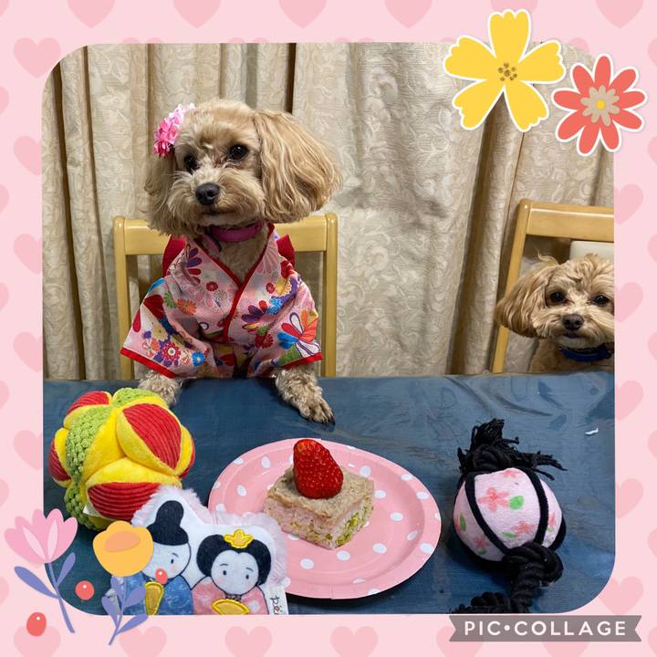 C6491fc6 3cc3 40a9 902f 7c9a4926681c 1646334369855