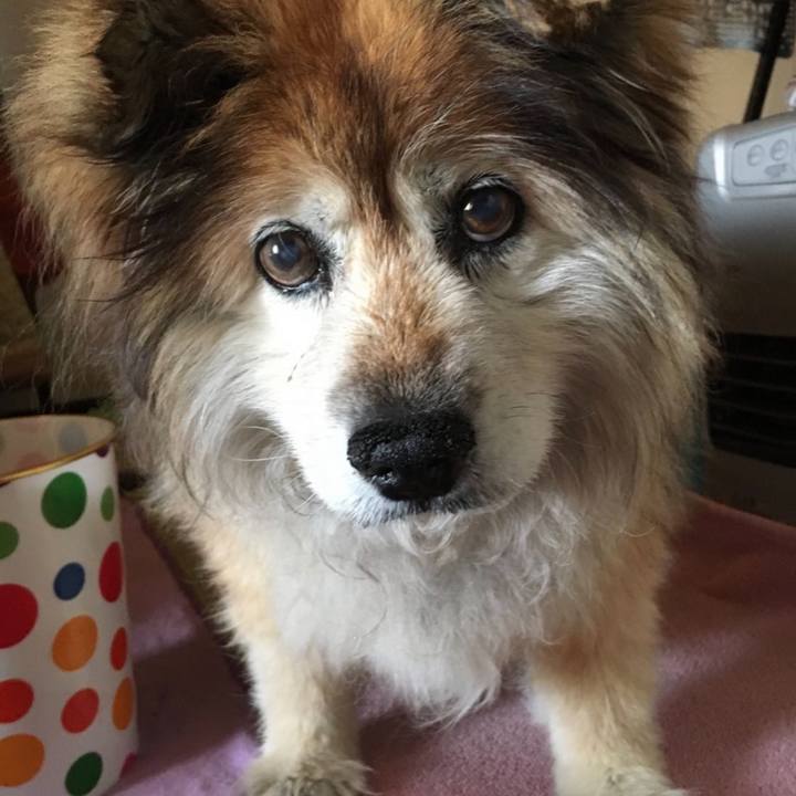 C6492636 95ef 4e57 aa5d 407987c1b541 1658380032461