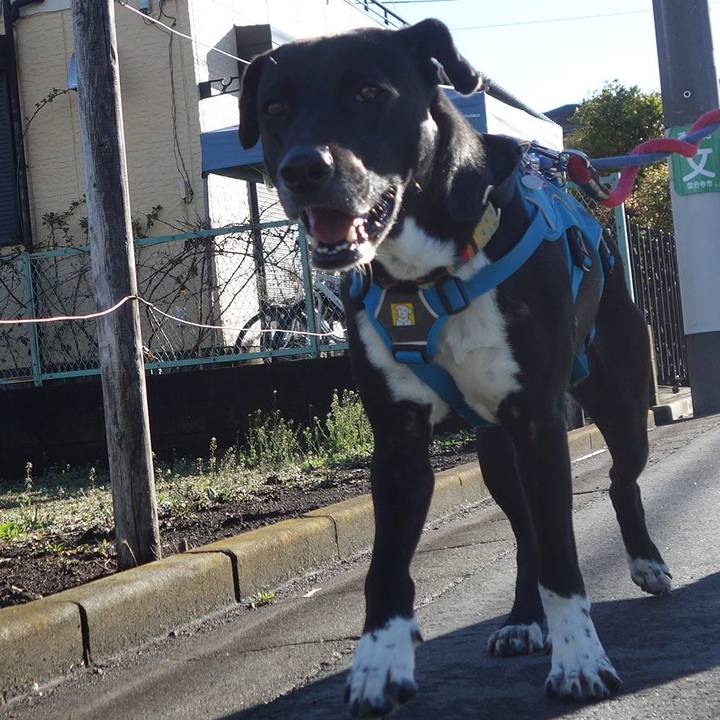 C6492d3c 4a7d 4357 9738 6d0c919a3cf8 1615680389625