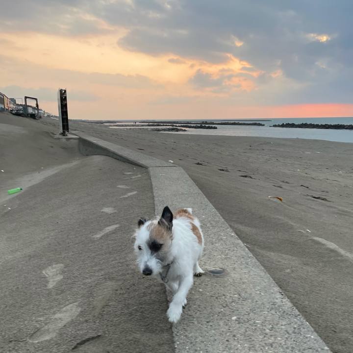 C6493670 794f 4342 ae9a 761c8e33453e 1616749174641