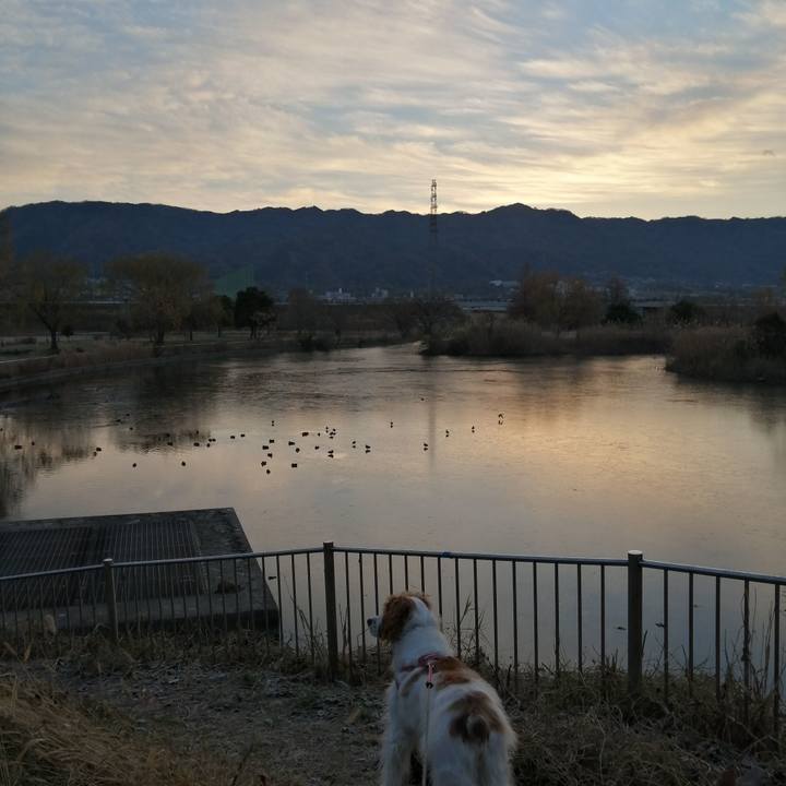 C64936bf 2c39 450e 8d57 c37014df271b 1609555564508