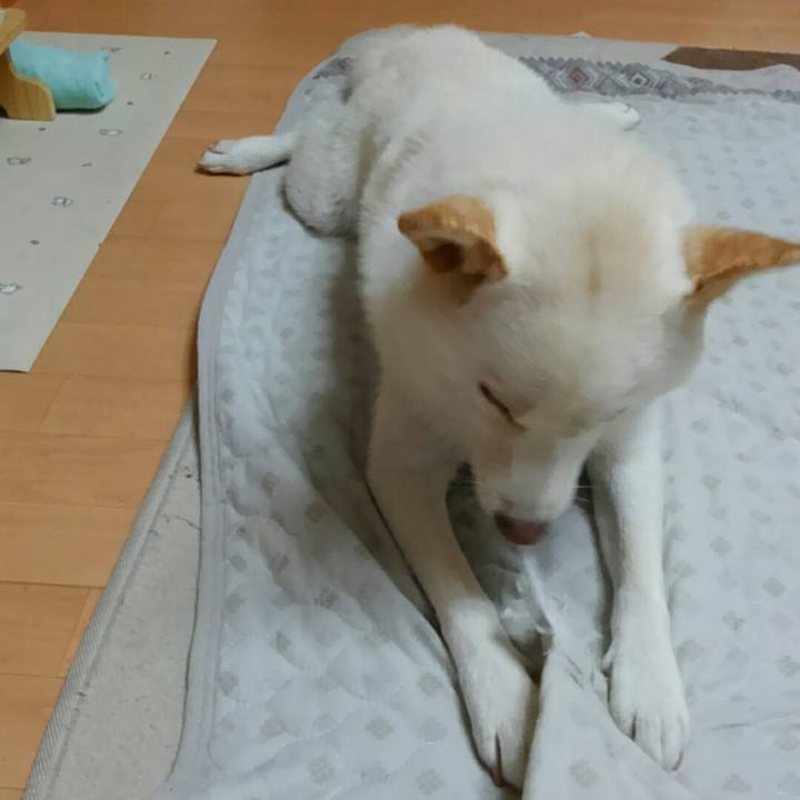 C6497272 df74 4ad4 8b66 57abcd486772 1532870579961