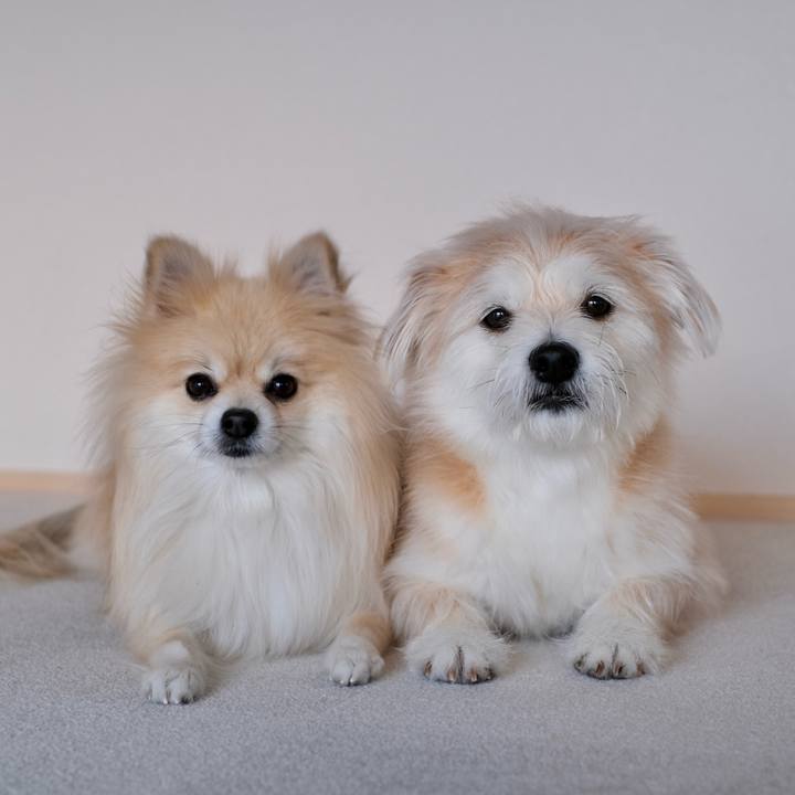 C649839c efe6 446c 904d da4dc995b7a9 1770327779773