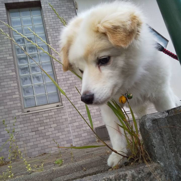 C649dee1 91d7 43bf 97d5 7a2217fce0be 1646775568370