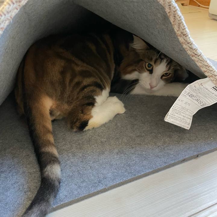 C64a0dc2 6043 4b2f 9f27 6b2ebe50e024 1660858475232