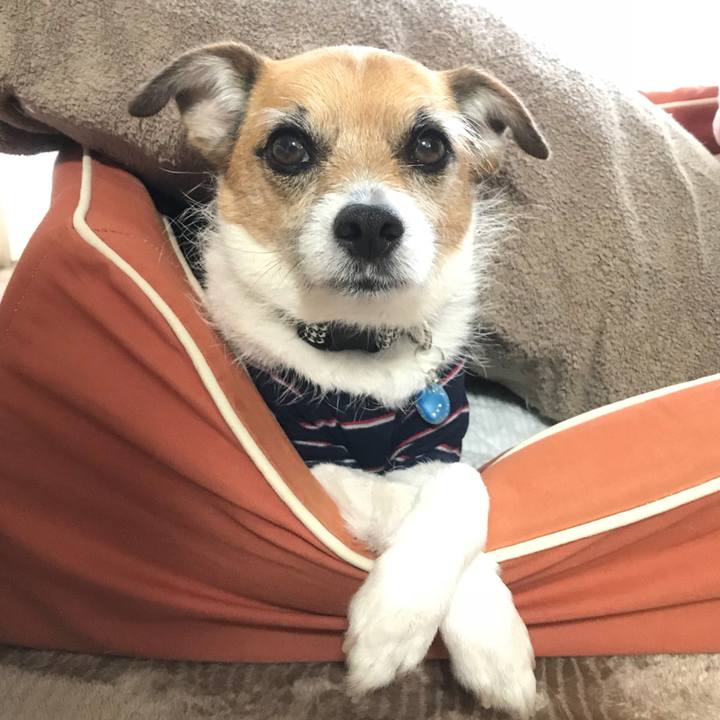 C64aa2a8 2041 4995 8cbc cea2f2678676 1520554115406