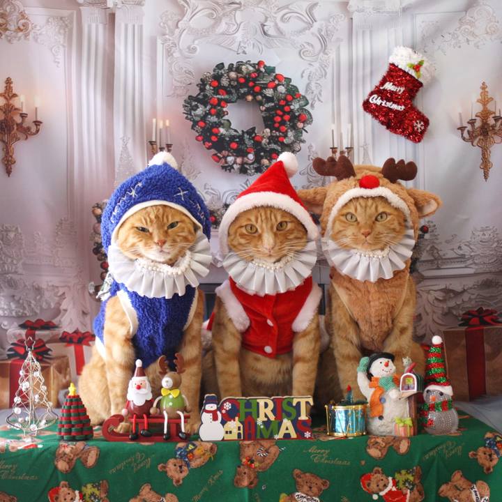 C64ac309 2c43 4462 9a8d 29d8fa5a3789 1766535023288