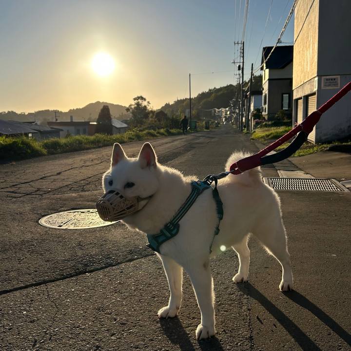 C64aca05 c929 4286 aa62 9261fc3aa6b6 1759183583248