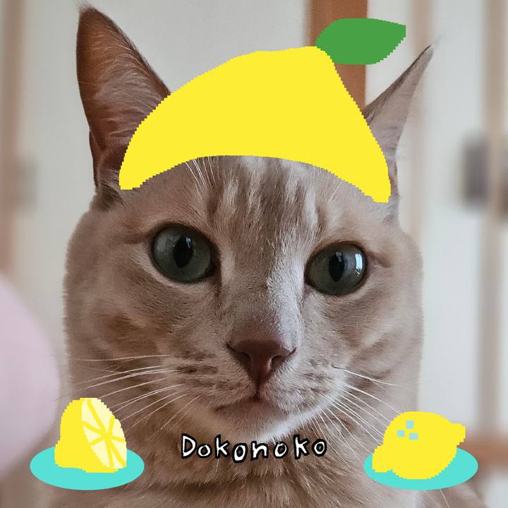 C64b15f9 172f 4aae bd65 2e82904c56b4 1741501825141