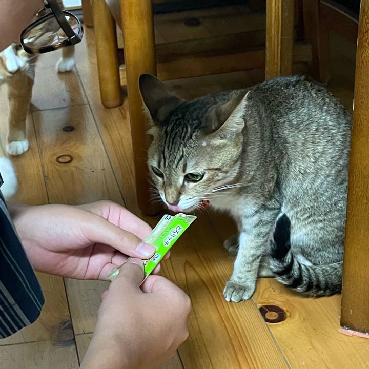 C64b1d38 d747 43df a390 99bbb56c743d 1695300575134