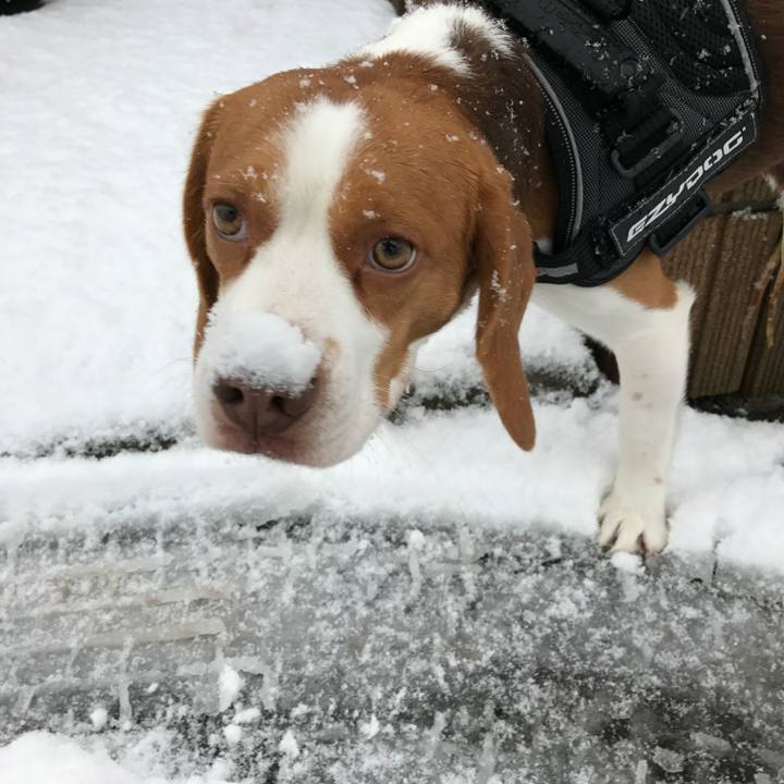 C64b248a 3377 4d2a abf5 a3585a9a659c 1517527262364