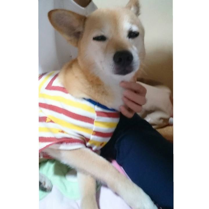 C64b74bb 1dab 41cd 9bed 4297eb310eca 1523484074723