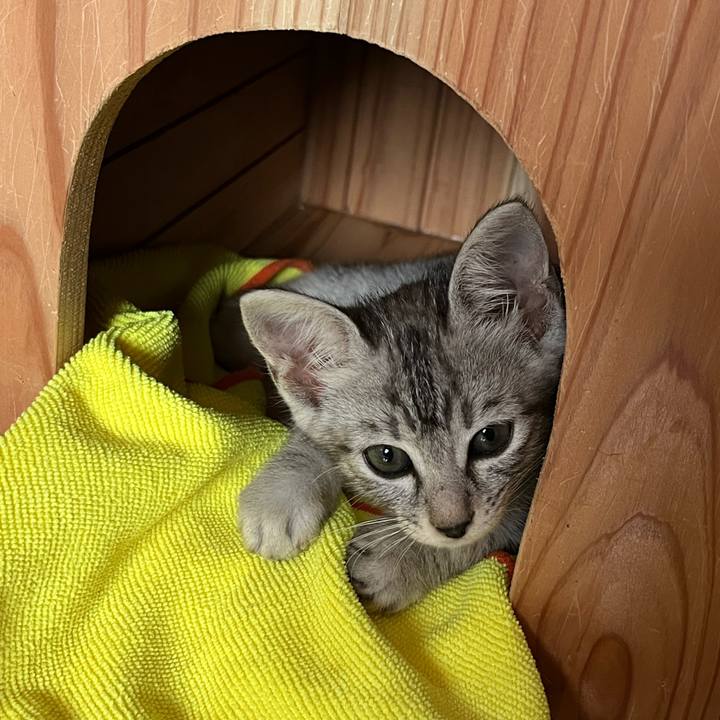 C64b7eea 4b1f 471d 9144 d84e57c246bc 1705016960446