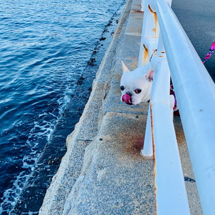 C64bdbb1 b7dd 4256 a93b cec93995da17 1604646593240