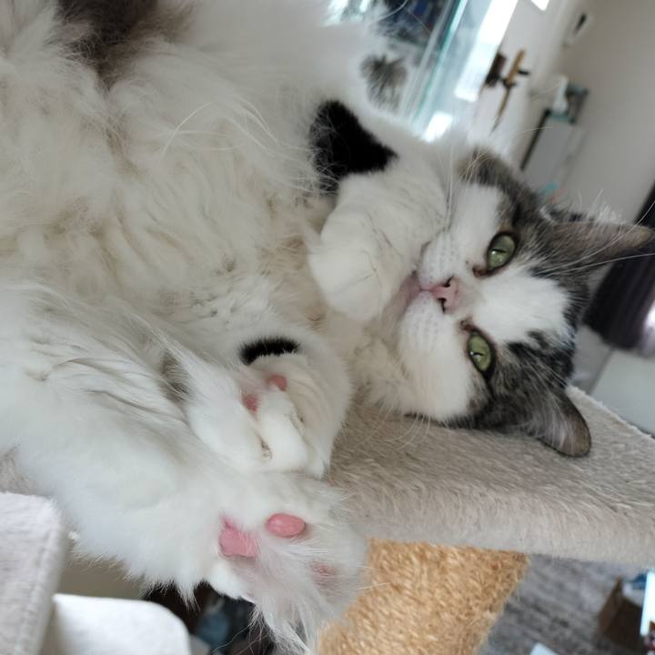 C64bdc4e 6152 46d5 9ef3 98cac5948104 1766876201071