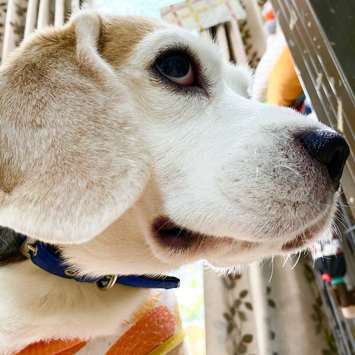 C64c2510 3c43 45b2 a08e 95c4bfe96ed8 1607485401933