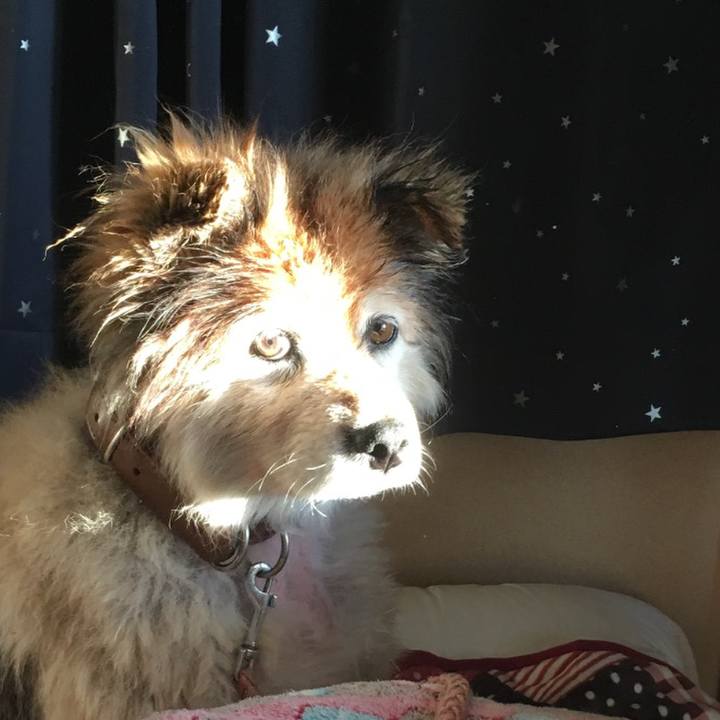 C64c3119 b9a4 4955 91df 5da03c950617 1553469228489