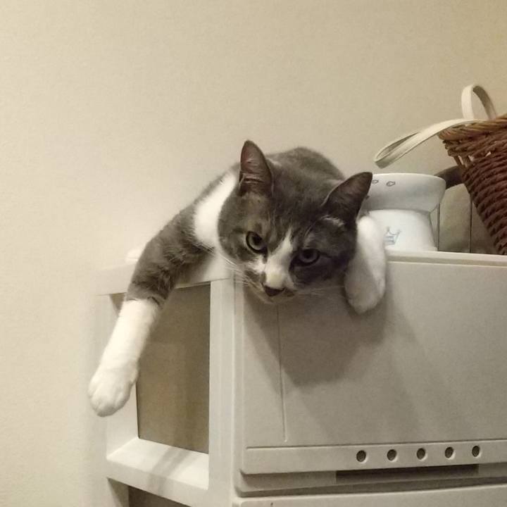 C64c41e7 2384 42c3 8663 c24d1824625c 1622196343674