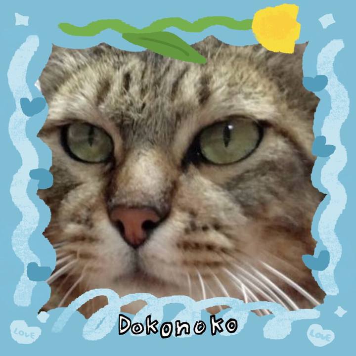 C64c4460 0fde 4114 9210 134cc3c3b737 1772179784848