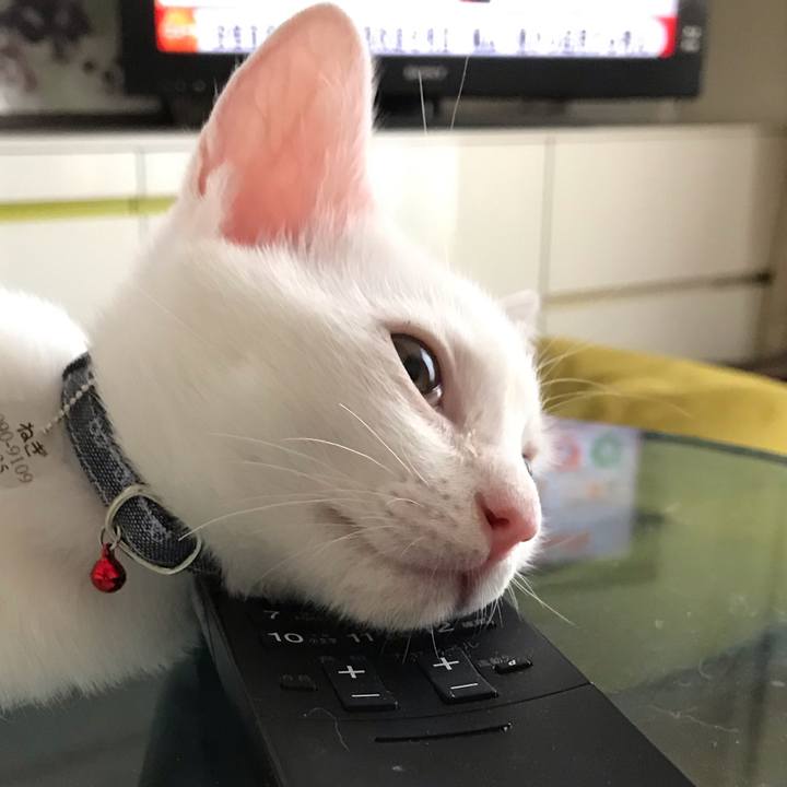 C64c72fe c093 44ac 82ae 6ebe80439aab 1567463381362