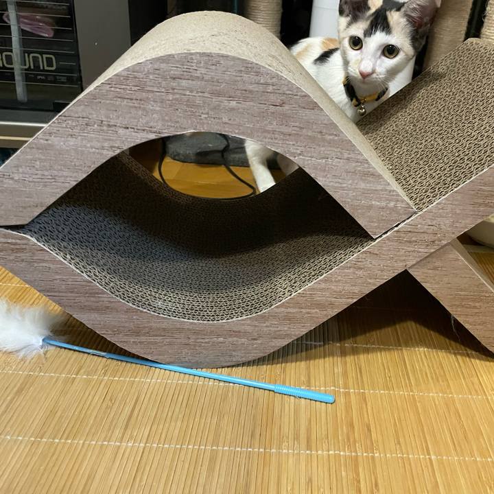 C64c9010 9f16 4abb a6d9 87a571e1440e 1661516028668