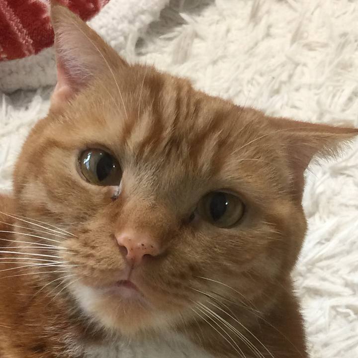 C64c99fe 2065 4c35 899d 7e38283b07c0 1584150420865