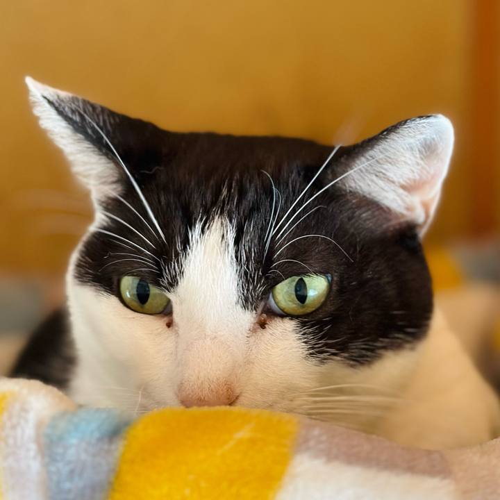 C64cb2e1 6726 43c9 8abf a01b514ca00f 1697849902639