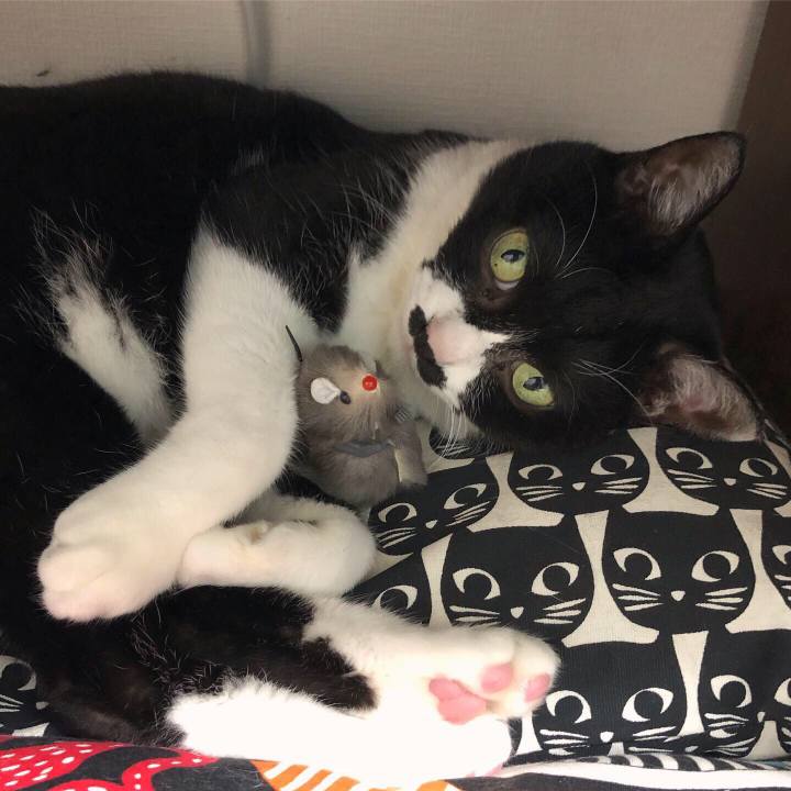 C64cb2fe 12fe 48a5 a5a8 82a2b472ef51 1598365530680