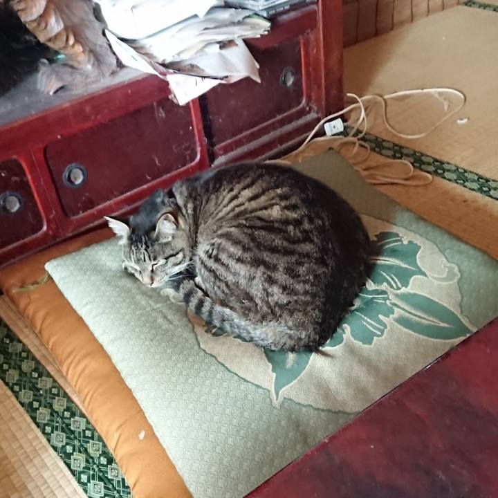 C64cdb87 494b 4039 8ed8 515ccf831c0b 1655250808575