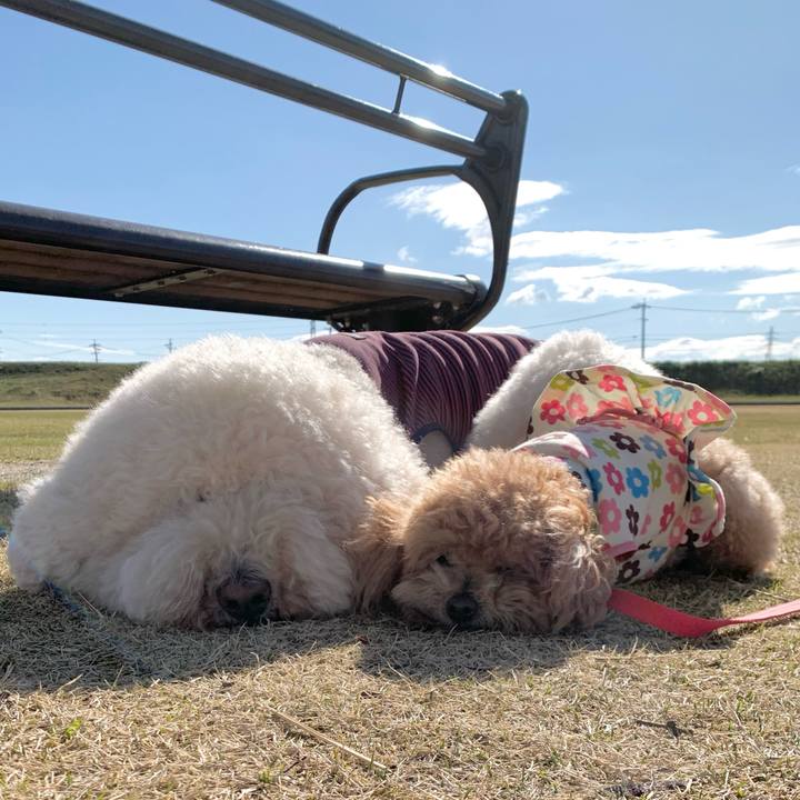 C64d07b5 a24e 4c5a 8081 ec6811c09afd 1774576766915