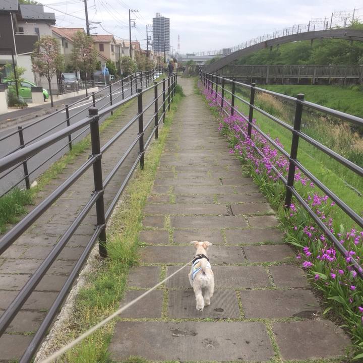 C64d1427 768f 4b9e 8d87 03cad77456af 1556353355506