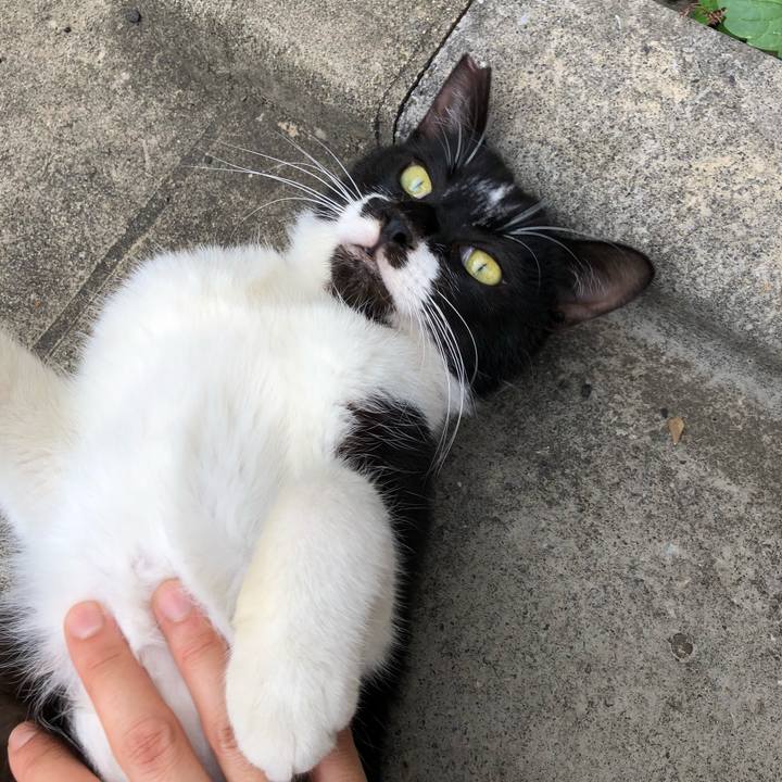 C64d1510 6b47 47d0 875b 282aa8773ecb 1529687285144