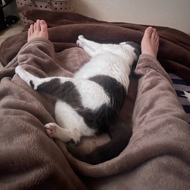 C64d1643 8876 41f7 90c9 9ec3d3811112 1697579825935