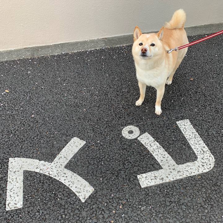 C64d1e74 bfa4 45b0 8fee b9ed1d60da82 1617407695079