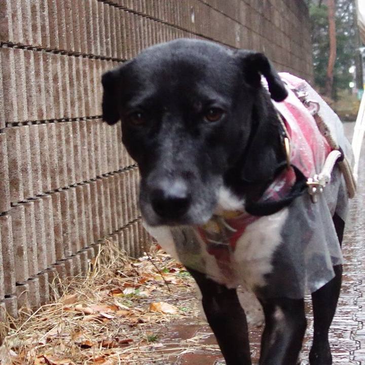 C64d1eaa 6e50 4c6e 97ff 4de3621eaa74 1641860953500