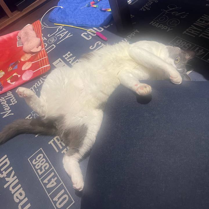 C64d214b 159d 4cab be10 9626f1cdfd0b 1724866054692